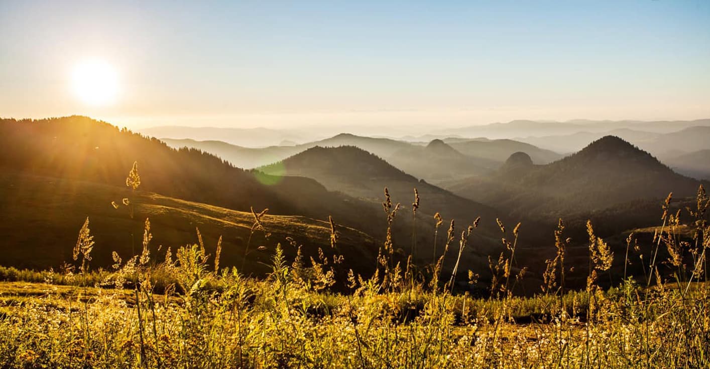 Modern vintage aesthetic for lifestyle event branding — traditional art blended with high-end graphic solutions.