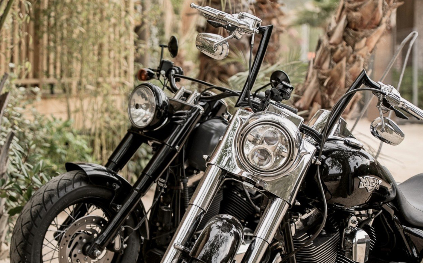 Bespoke event imagery and typographic craftsmanship for Harley-Davidson Europe.