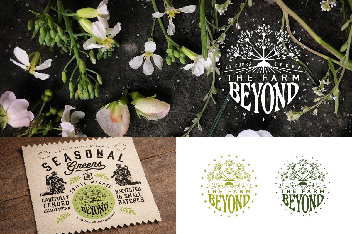 The Farm Beyond — botanical brand identity archive and organic farm logo by BMD Design