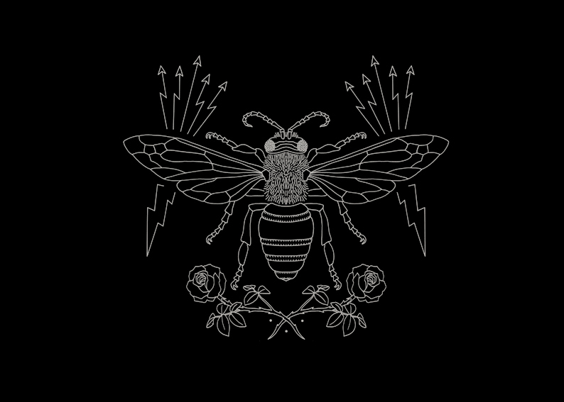 BMD Design — création 331