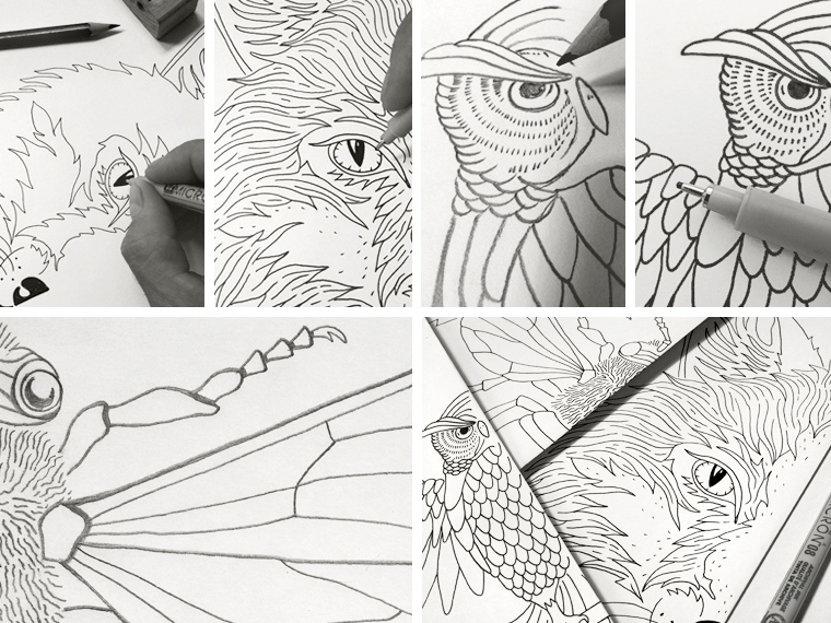 Bmd Design Hand Draw Branding — BMD Design