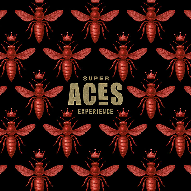 Bmd Design Sketch Hand Lettering — BMD Design