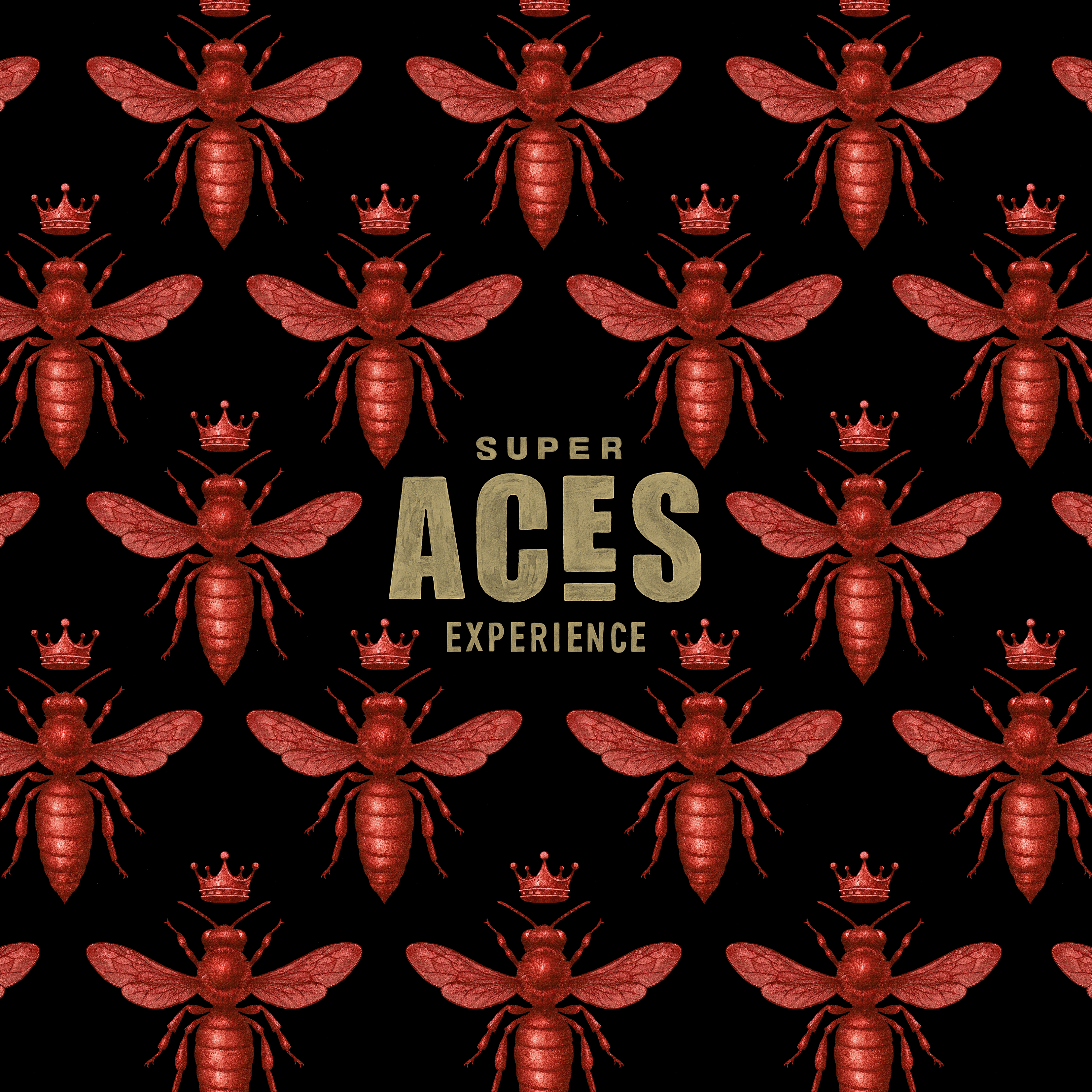 BMD Design — création 365