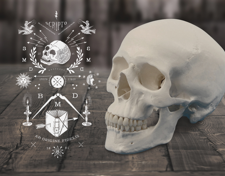 BMD Design — création 230