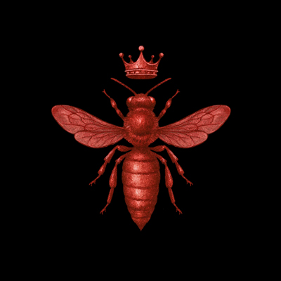 Custom hand-drawn lettering and artisanal apparel graphics for Aces